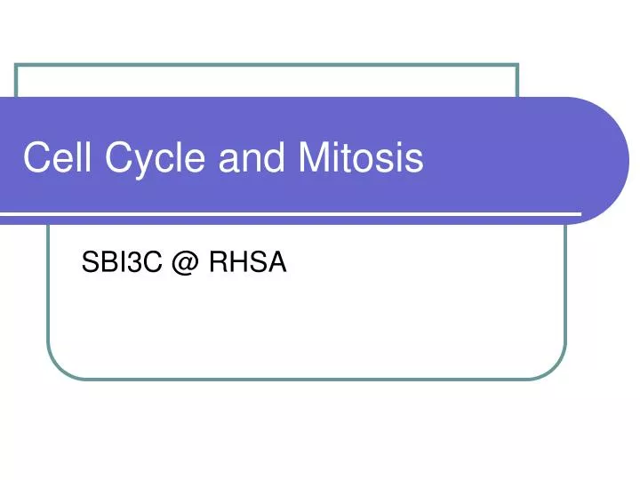cell cycle and mitosis