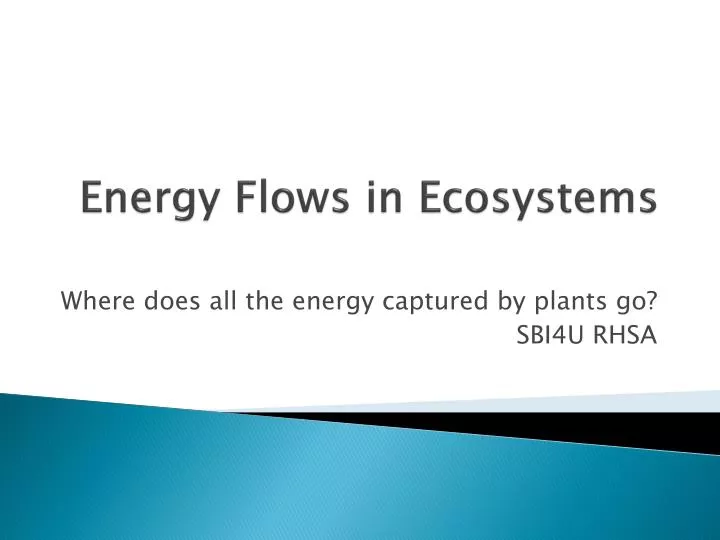energy flows in ecosystems