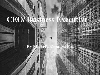 CEO/ Business Executive