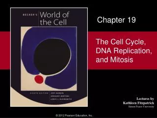 The Cell Cycle, DNA Replication, and Mitosis