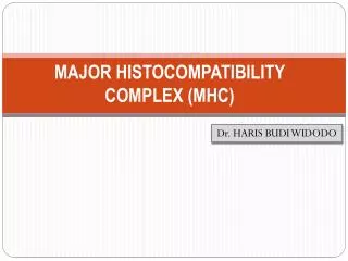 major histocompatibility complex mhc