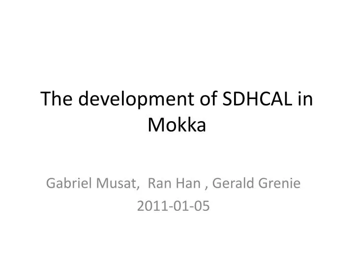 the development of sdhcal in mokka