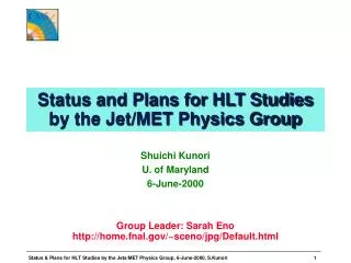 Status and Plans for HLT Studies by the Jet/MET Physics Group