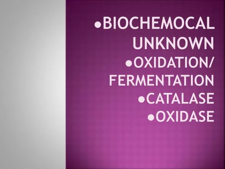 biochemocal unknown oxidation fermentation catalase oxidase