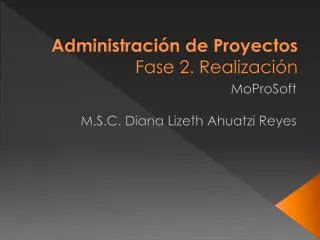 administraci n de proyectos fase 2 realizaci n