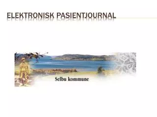 elektronisk pasientjournal