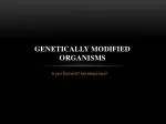 Genetically Modified Organisms - slide 1