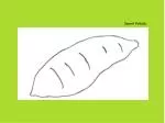 Sweet Potato - slide 1