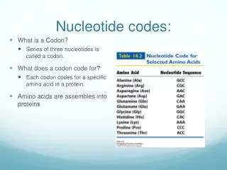 Nucleotide codes: