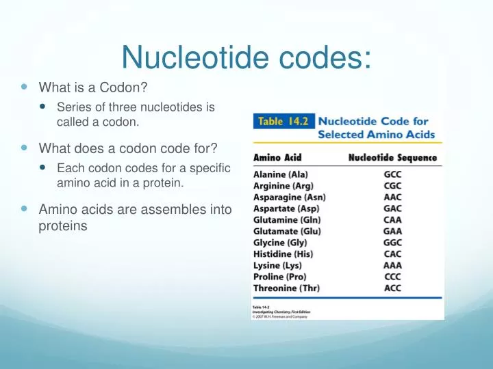 nucleotide codes