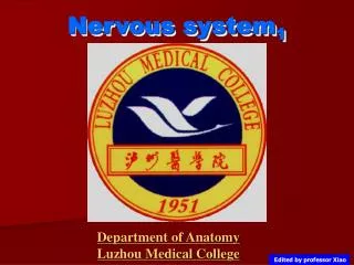 Nervous system 1