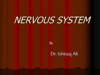 nervous system