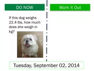 If this dog weighs 22.4 lbs, how much does she weigh in kg?