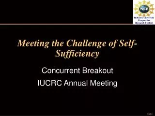 Meeting the Challenge of Self-Sufficiency