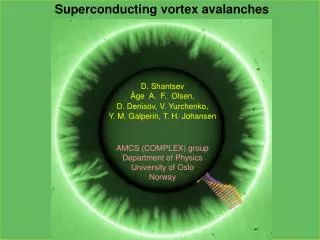 Superconducting vortex avalanches