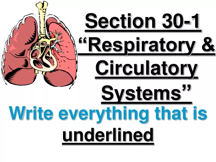 section 30 1 respiratory circulatory systems