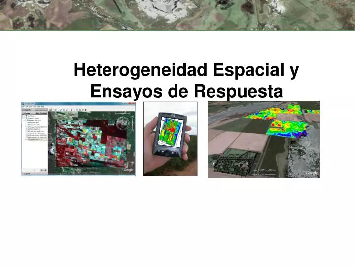 heterogeneidad espacial y ensayos de respuesta