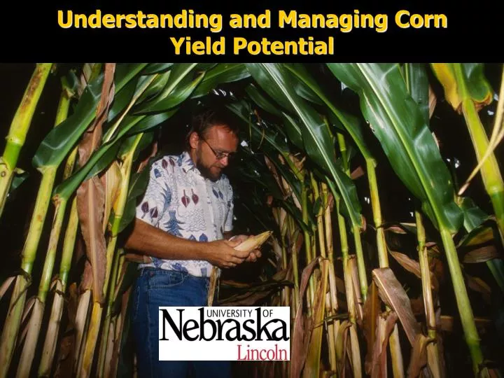 understanding and managing corn yield potential