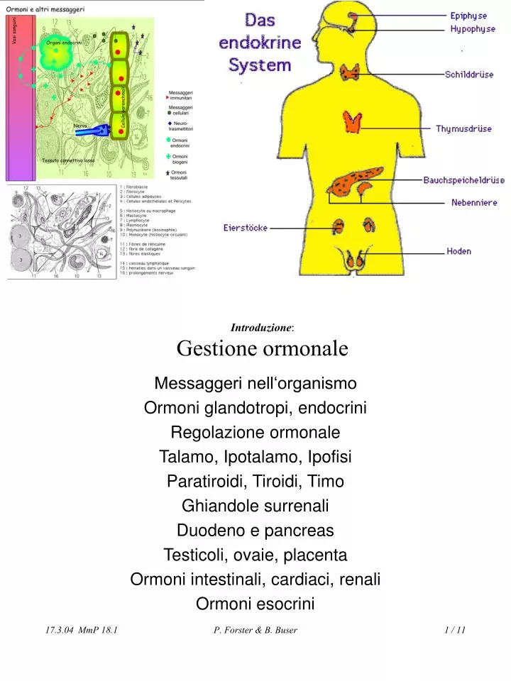 introduzione gestione ormonale