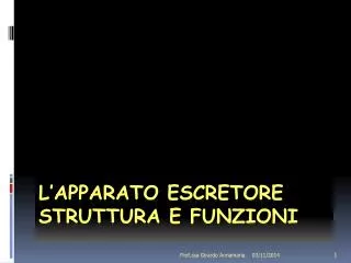 l apparato escretore struttura e funzioni