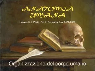 anatomia umana