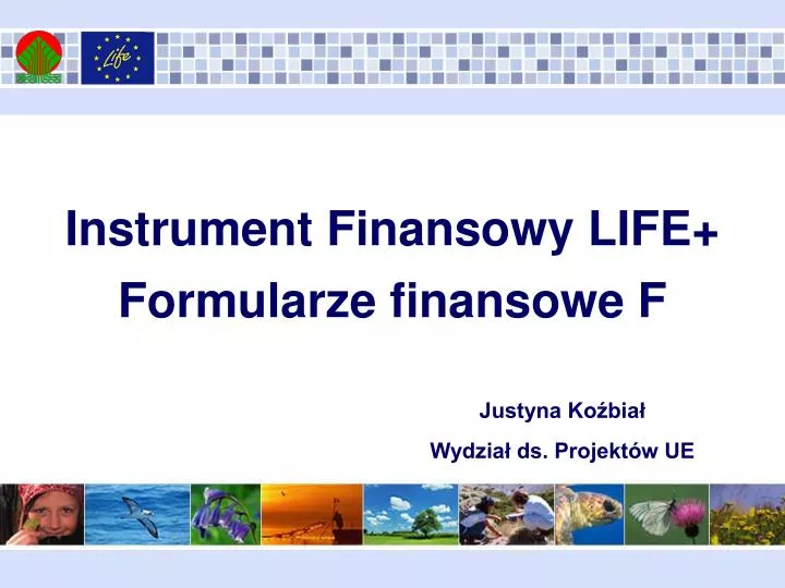 instrument finansowy life formularze finansowe f