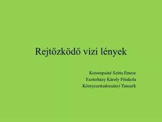 rejt zk d v zi l nyek