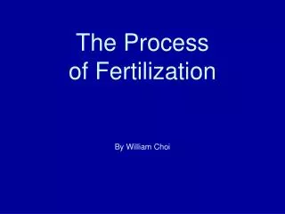 The Process of Fertilization By William Choi