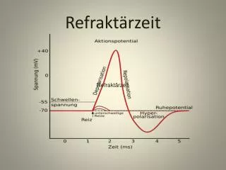 refrakt rzeit