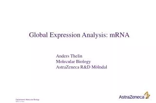 Global Expression Analysis: mRNA