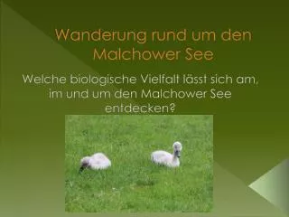wanderung rund um den malchower see