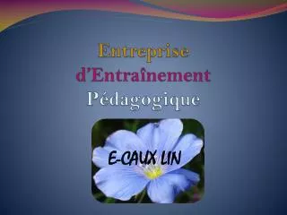 entreprise d entra nement p dagogique