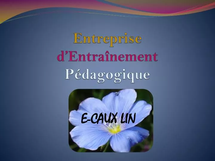 entreprise d entra nement p dagogique