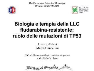 Biologia e terapia della LLC fludarabina-resistente: ruolo delle mutazioni di TP53