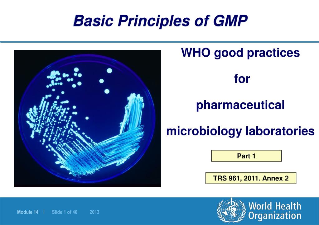 Introduction For Gmp PPT - Basic Principles of GMP PowerPoint Presentation, free download ...