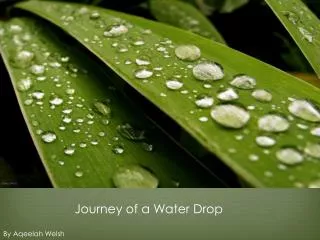 Journey of a Water Drop