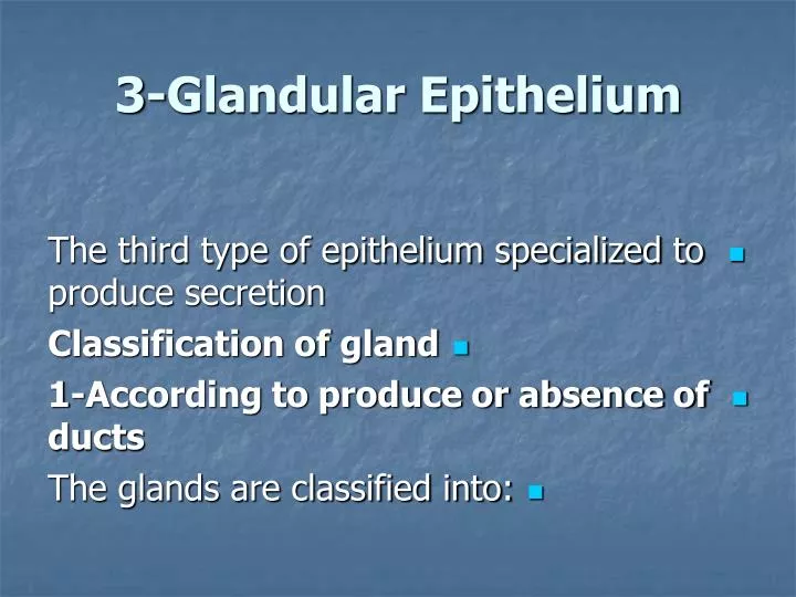 3 glandular epithelium