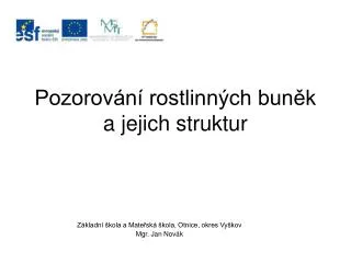 pozorov n rostlinn ch bun k a jejich struktur