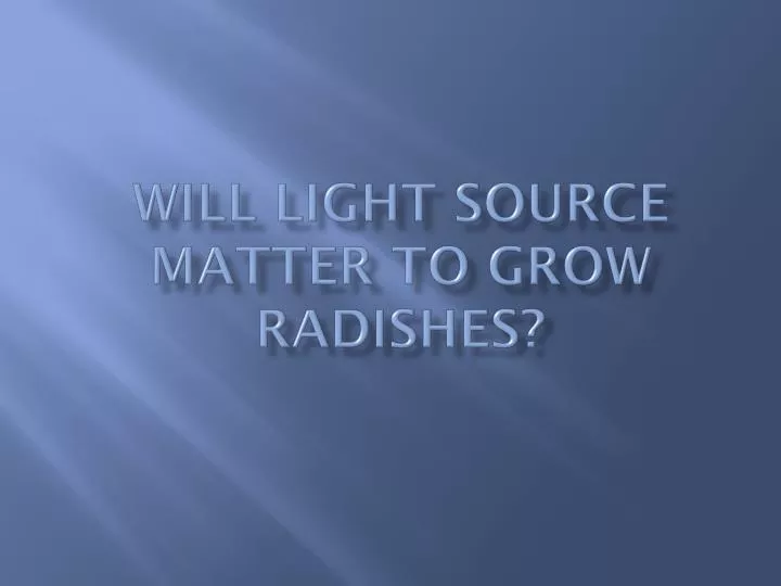 will light source matter to grow radishes