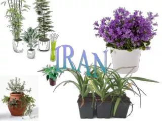 IRAN