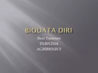 biodata diri