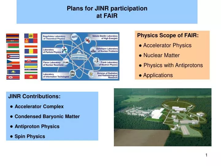 plans for jinr participation at fair