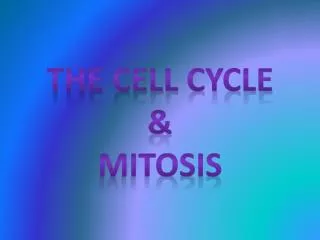 The cell cycle &amp; Mitosis