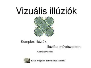 vizu lis ill zi k