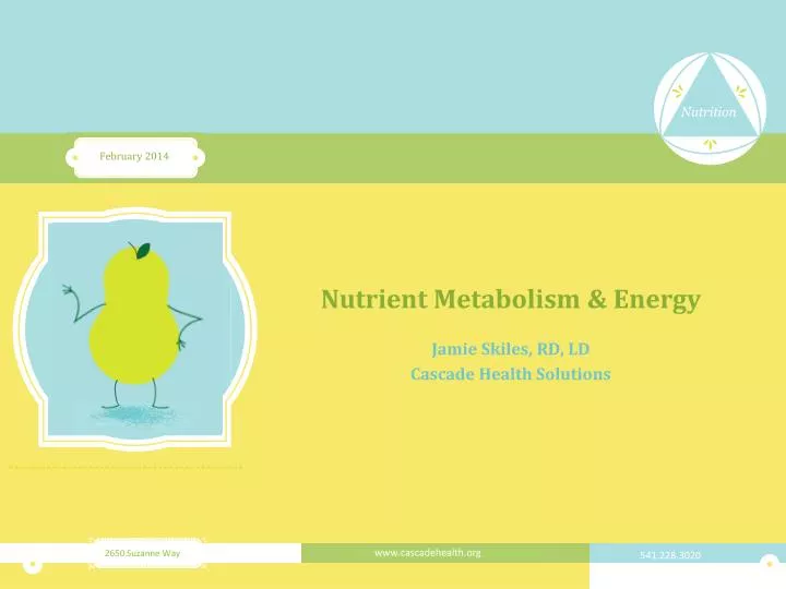 nutrient metabolism energy