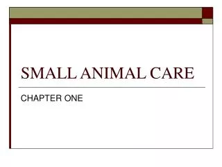 SMALL ANIMAL CARE