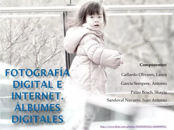 fotograf a digital e internet lbumes digitales