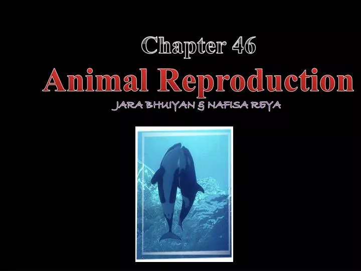 chapter 46 animal reproduction jara bhuiyan nafisa reya