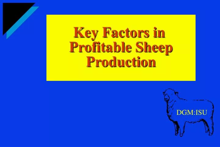 key factors in profitable sheep production