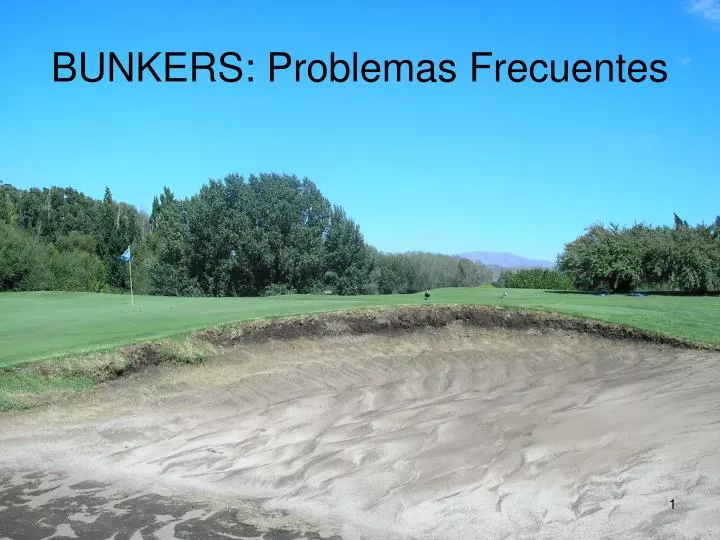 bunkers problemas frecuentes